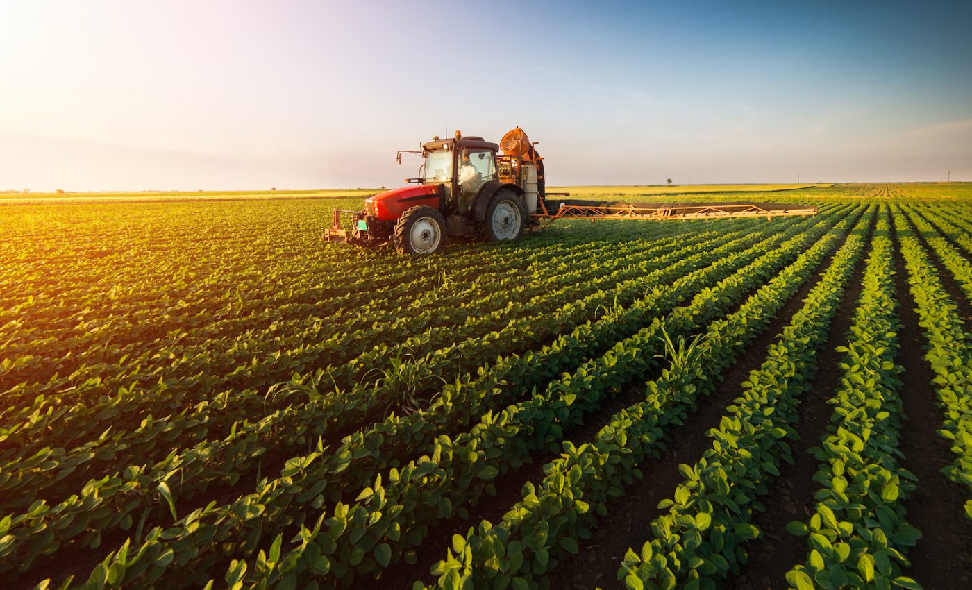 By altering photosynthesis, important crops can grow with less water