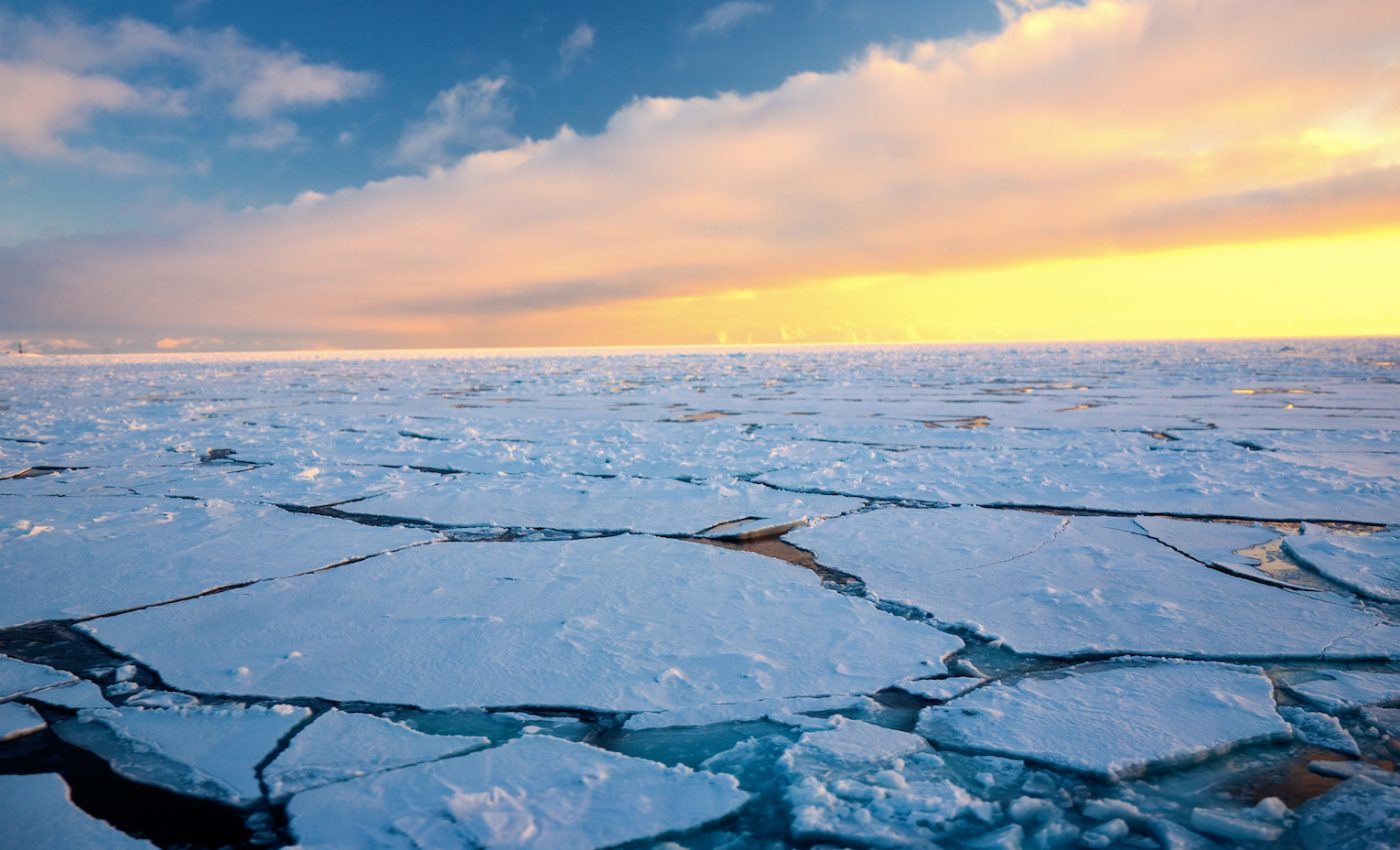Young sea ice is melting before it can make its transarctic journey