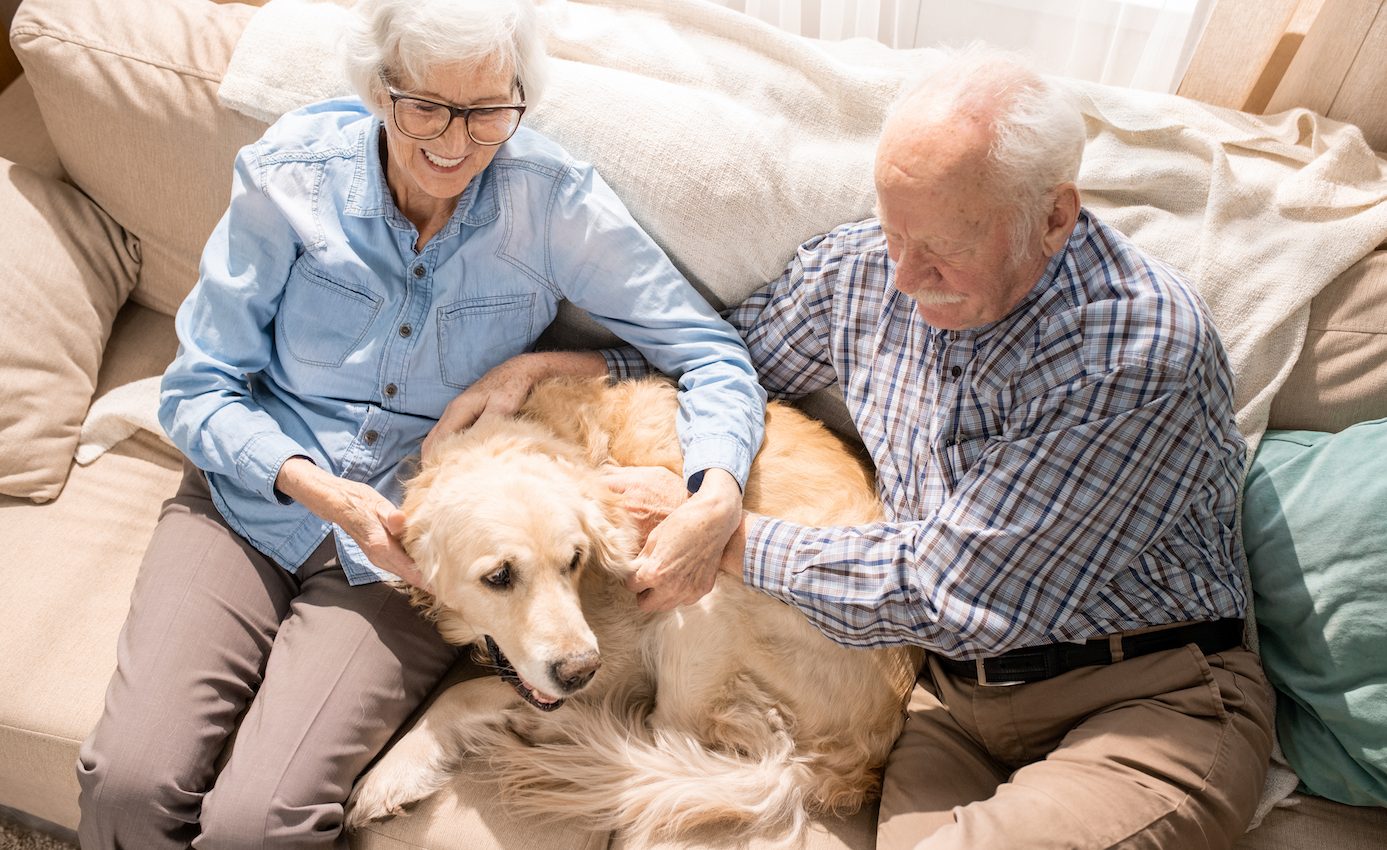 Pets help older adults deal with health problems, but there are drawbacks