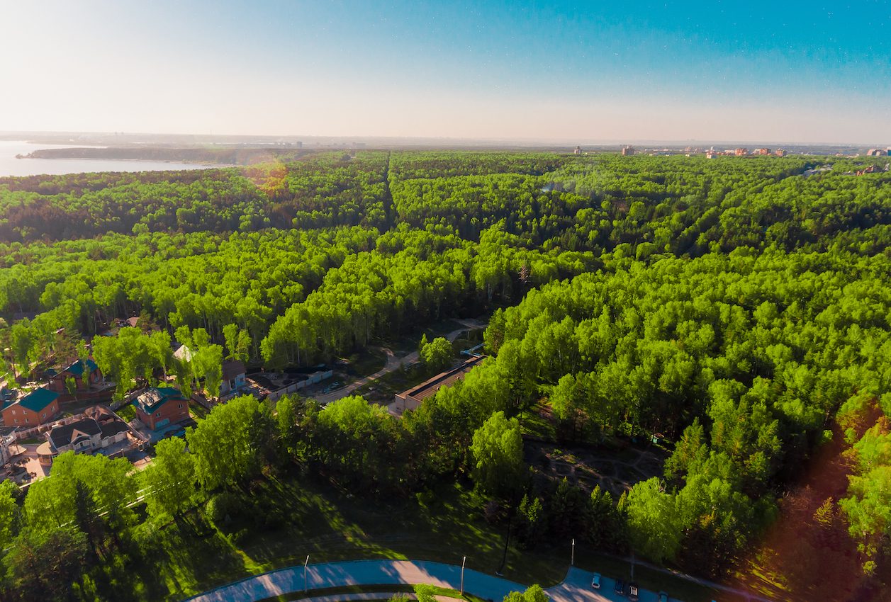 Areas with more trees and greenspace spend less money on Medicare costs