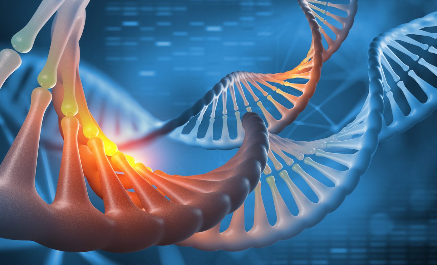 Experts identify regions of the genome that promote facial beauty