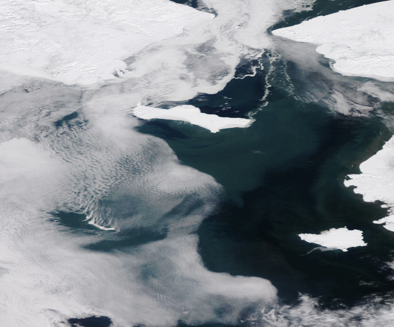 Satellite images reveal the Bering Sea is nearly ice-free