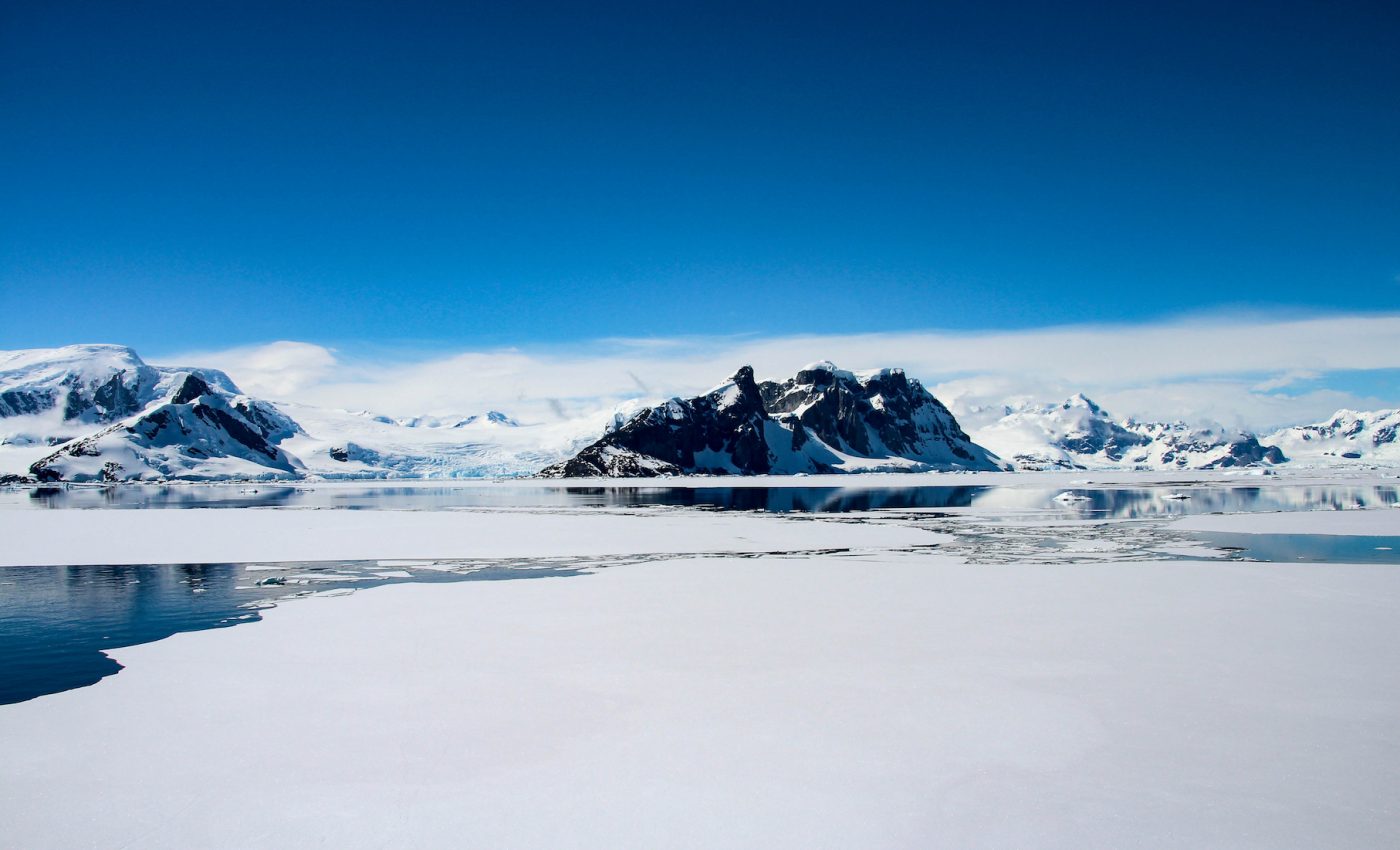 Global warming could turn Antarctica green, experts warn