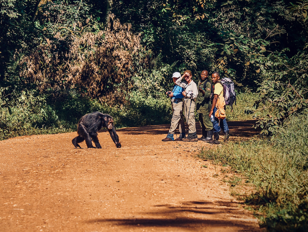 Recent kidnapping highlights trouble with American involvement in Uganda