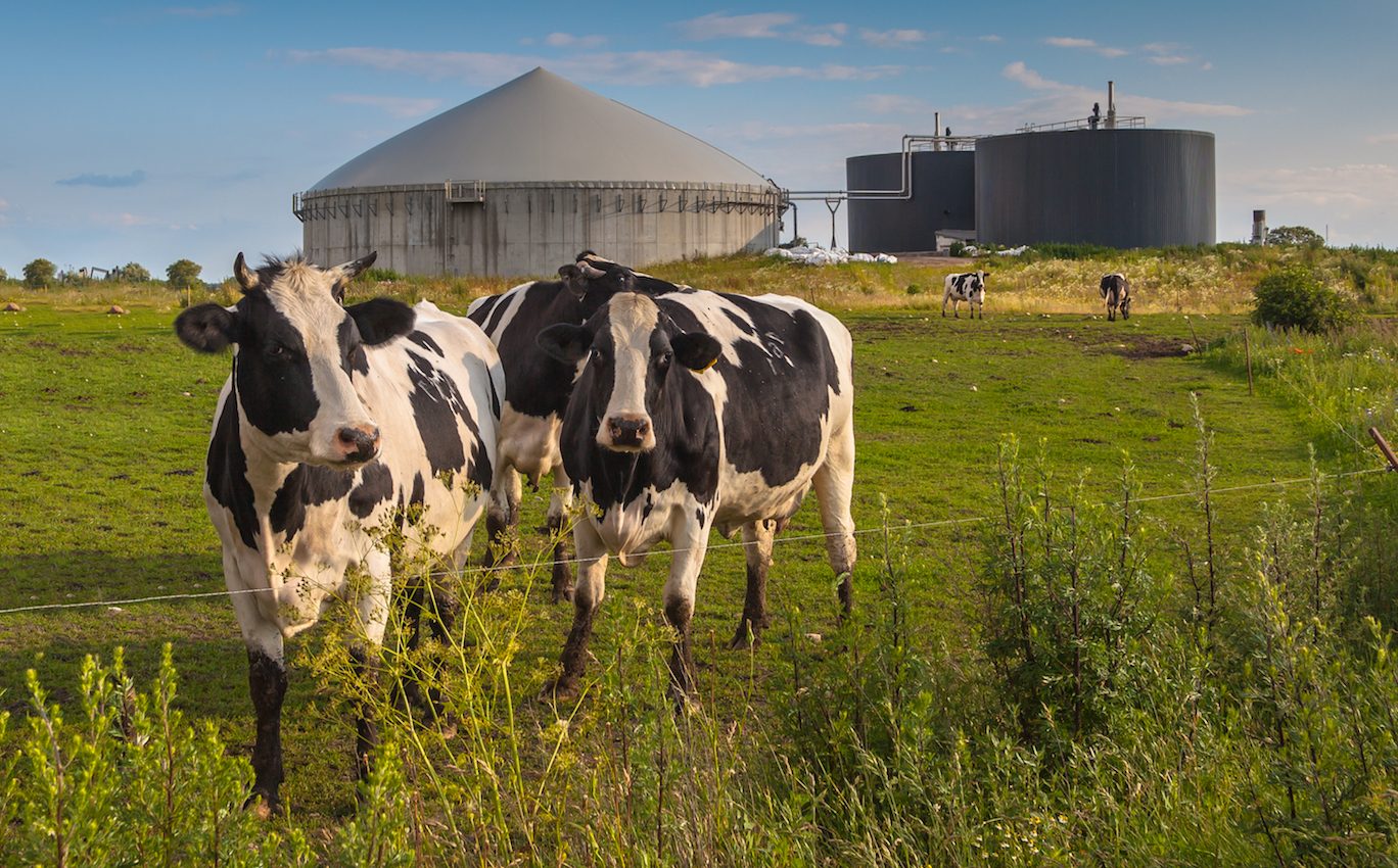 Could methane-eating bacteria keep methane emissions in check?