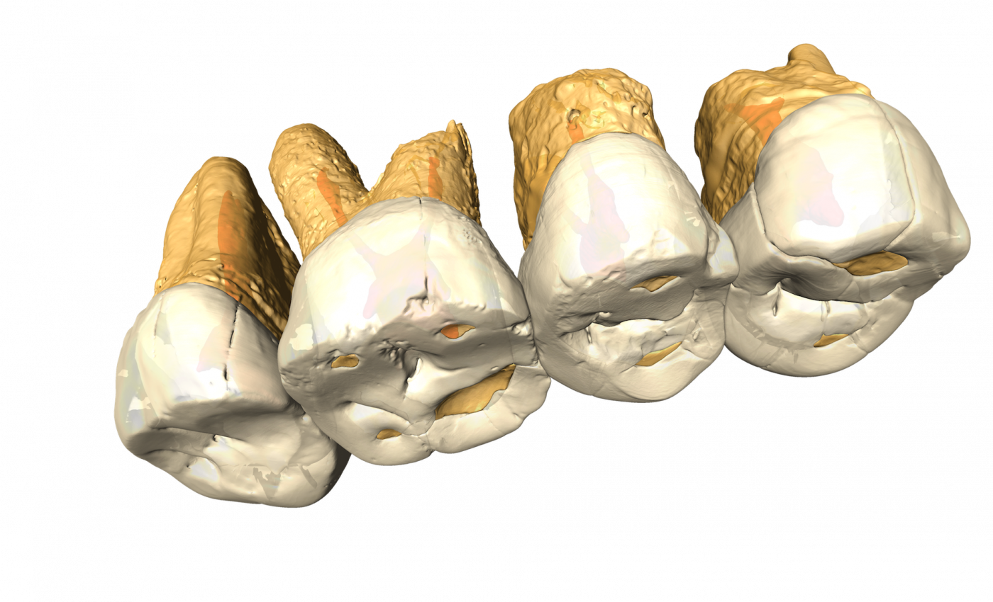 New species of ancient humans discovered in the Philippines