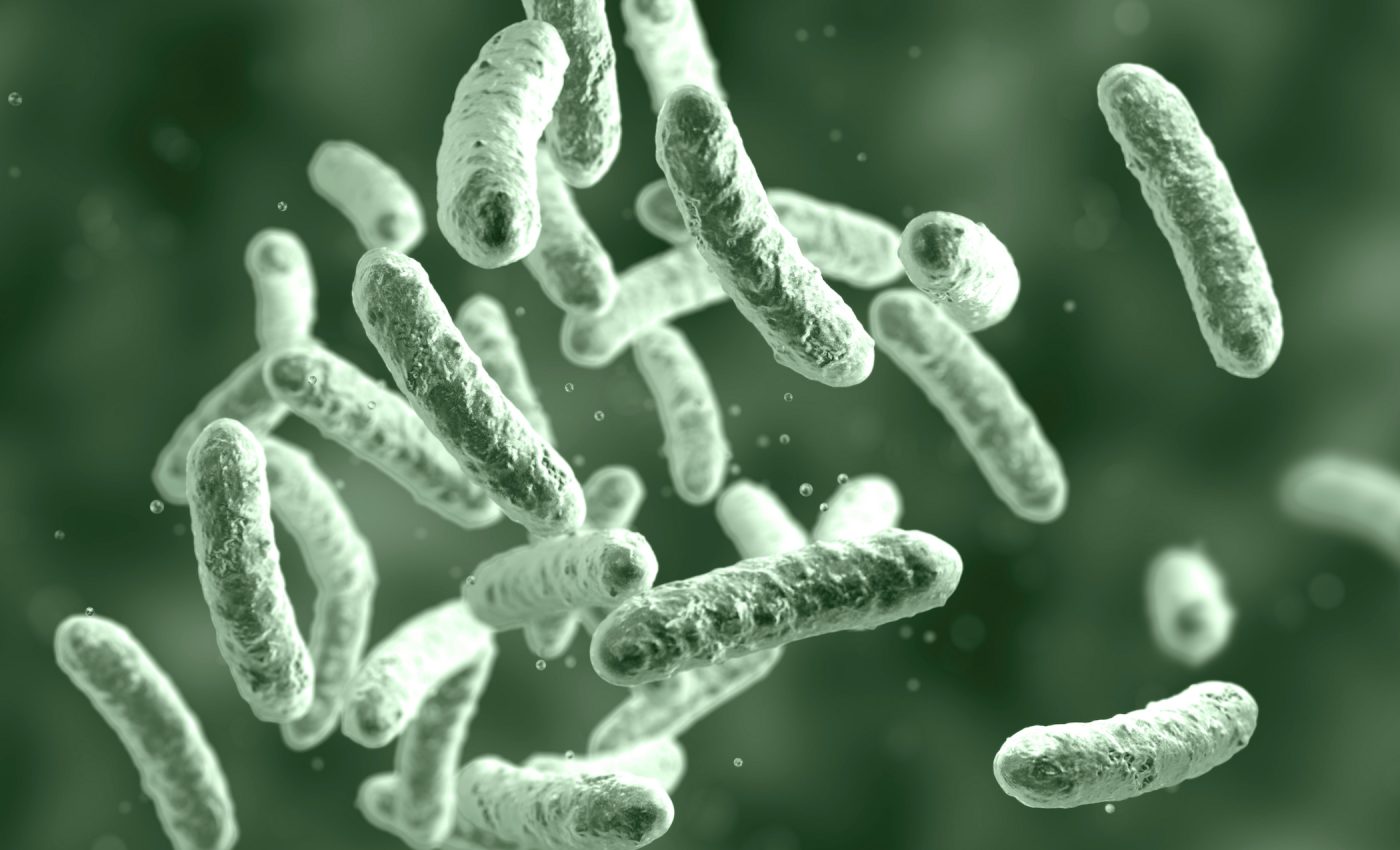 Bacteria in humans are swapping genes at a surprisingly fast rate