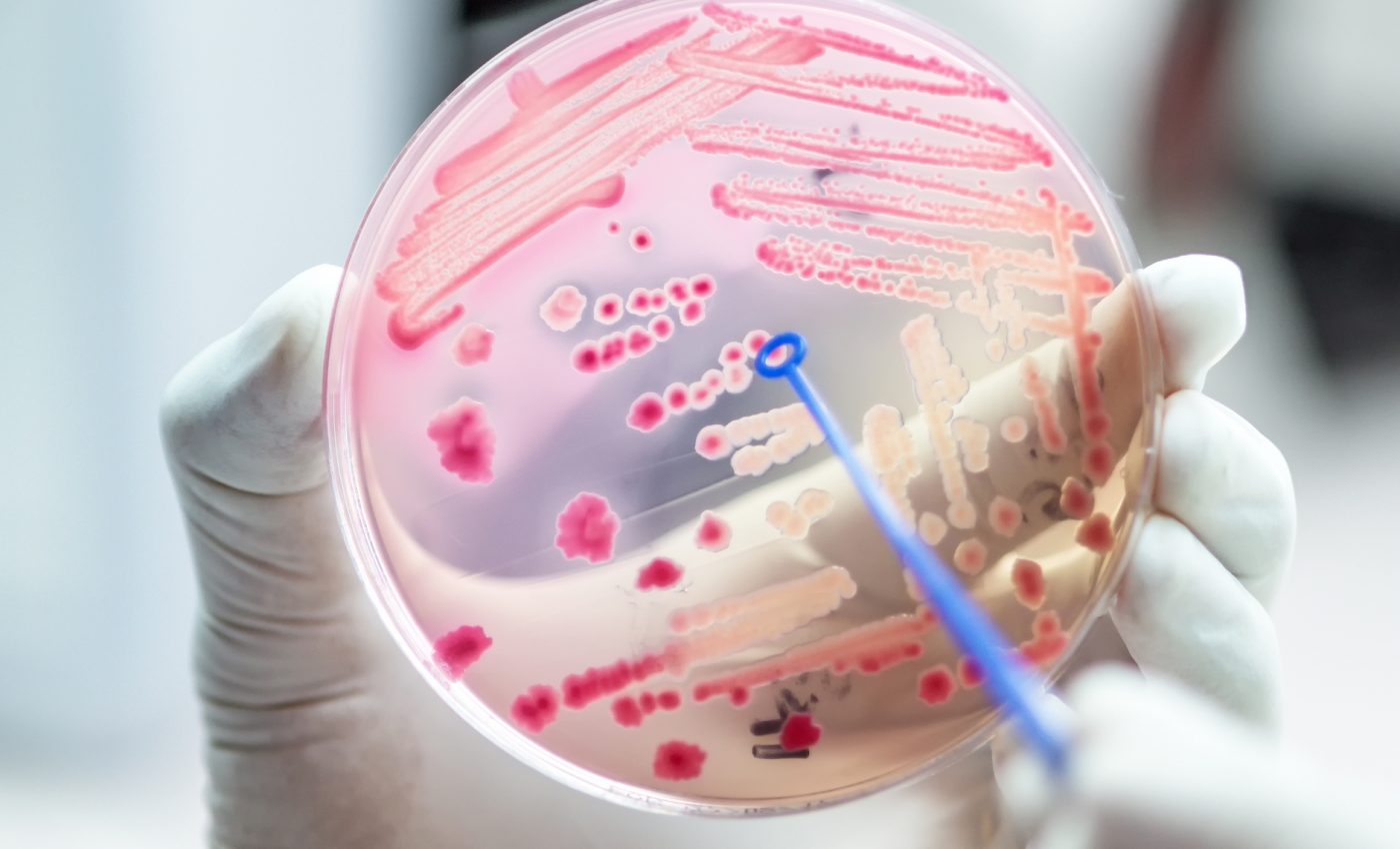 Research shows link between antimicrobial resistance and climate change