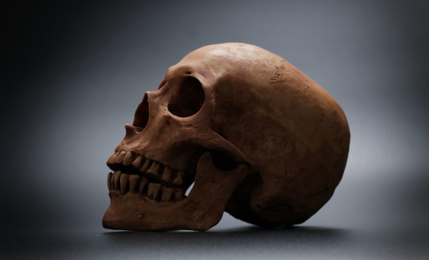 The shape of human faces evolved out of our need for social skills