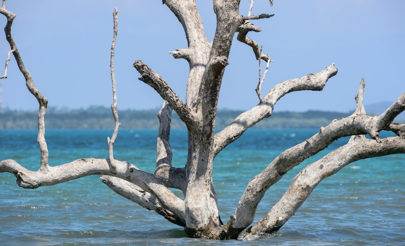 Satellites can accurately track sea level rise and water surface heights