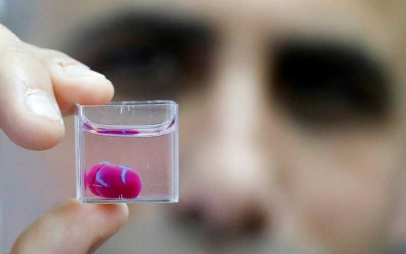 Scientists 3D print the first heart made from human tissue