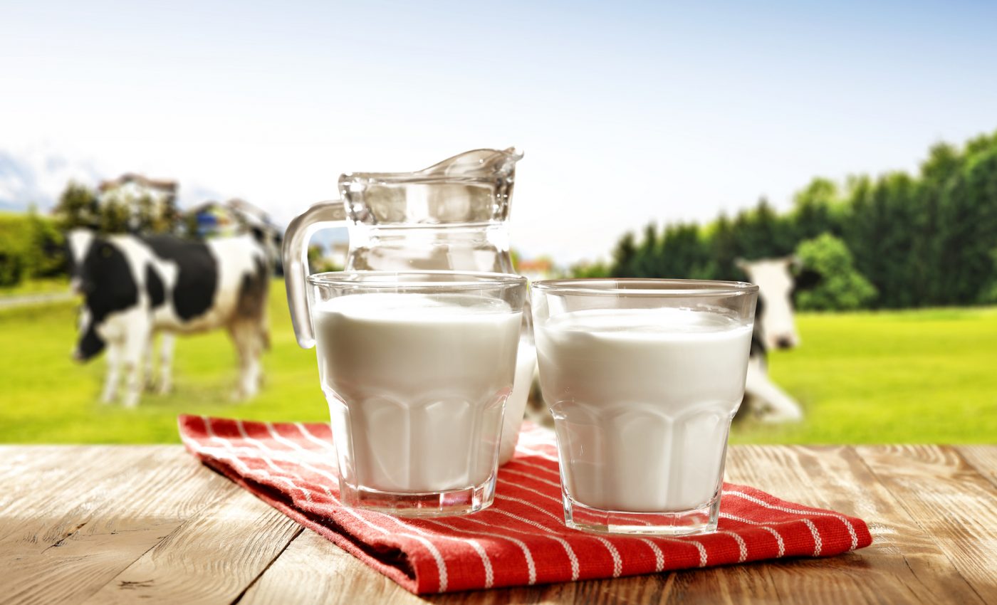What exactly is in cow’s milk?