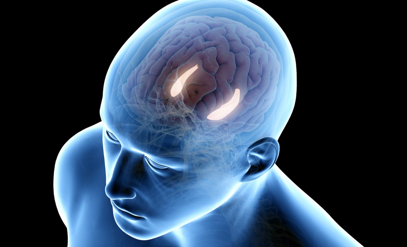 Brain stimulation could help improve memory for older adults, study finds