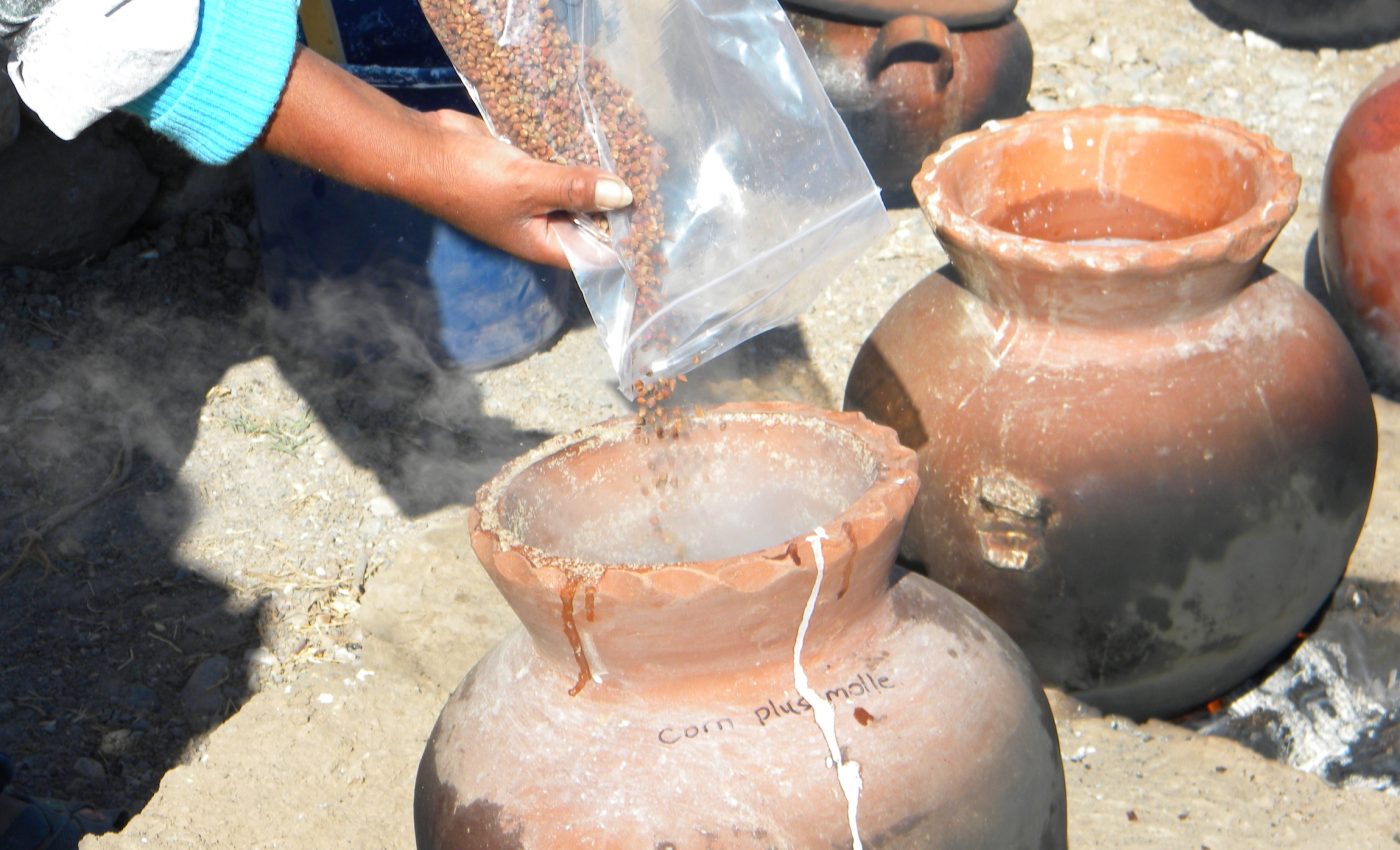 A steady supply of beer helped an ancient Peruvian empire remain united
