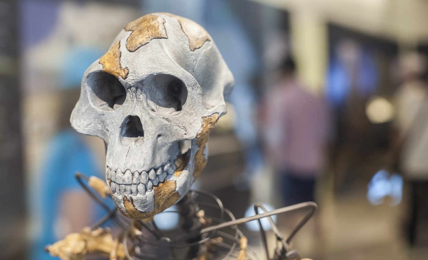 Hominins may have first appeared in Europe instead of Africa