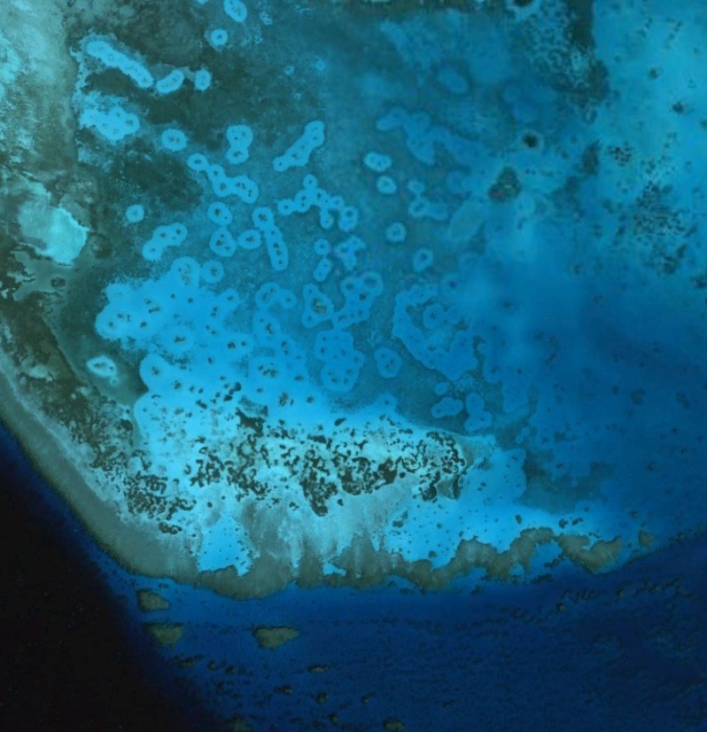 Reef halos allow experts to monitor coral health from space