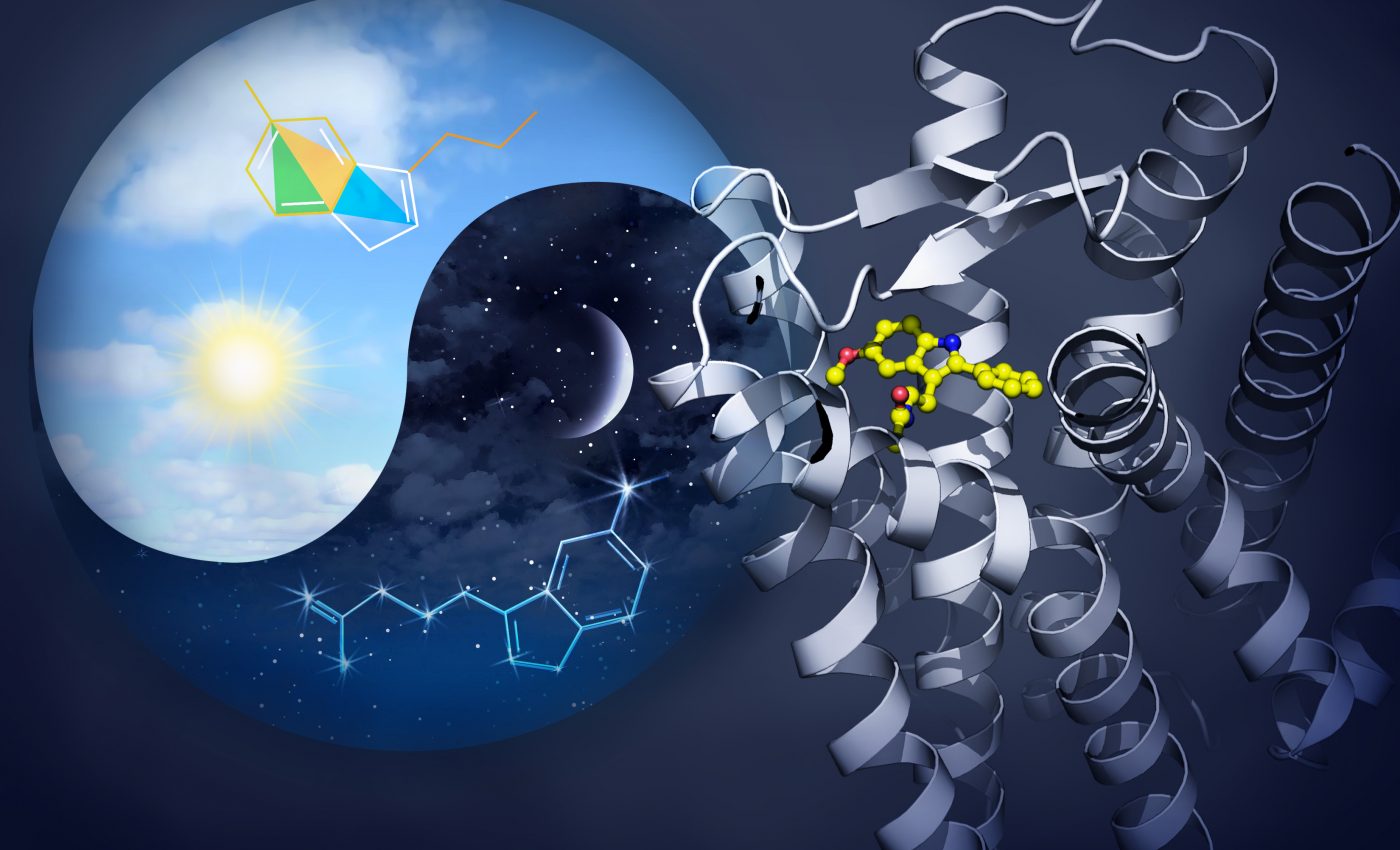 Melatonin receptor maps pave the way for new sleep disorder treatments