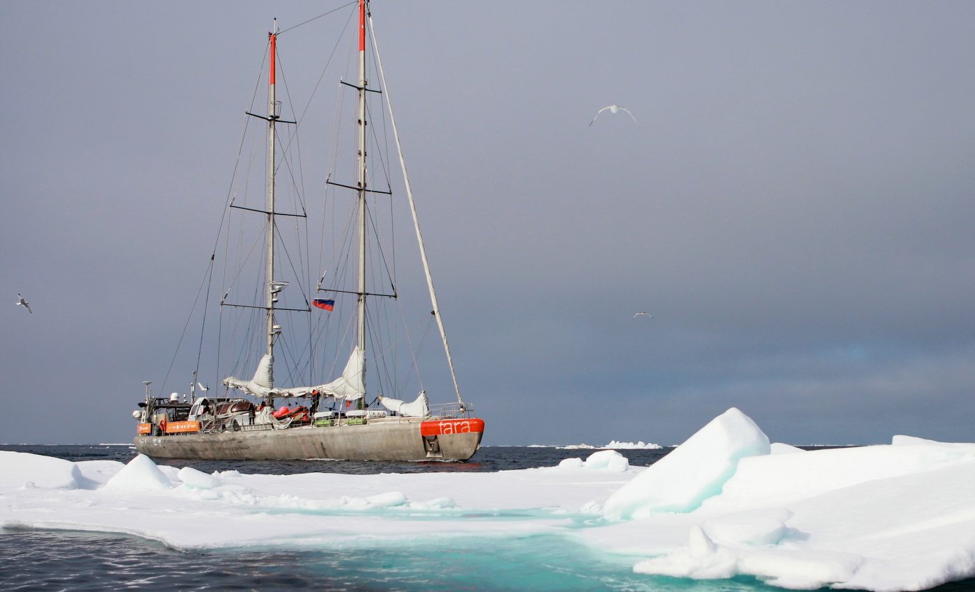 Nearly 200,000 marine viruses identified in pole-to-pole ocean survey