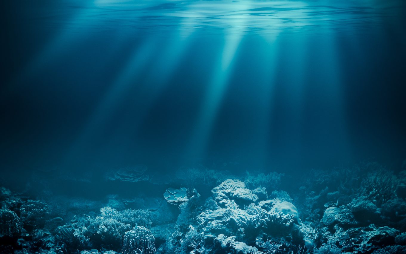 Warmer temperatures reduce the ocean’s ability to store carbon