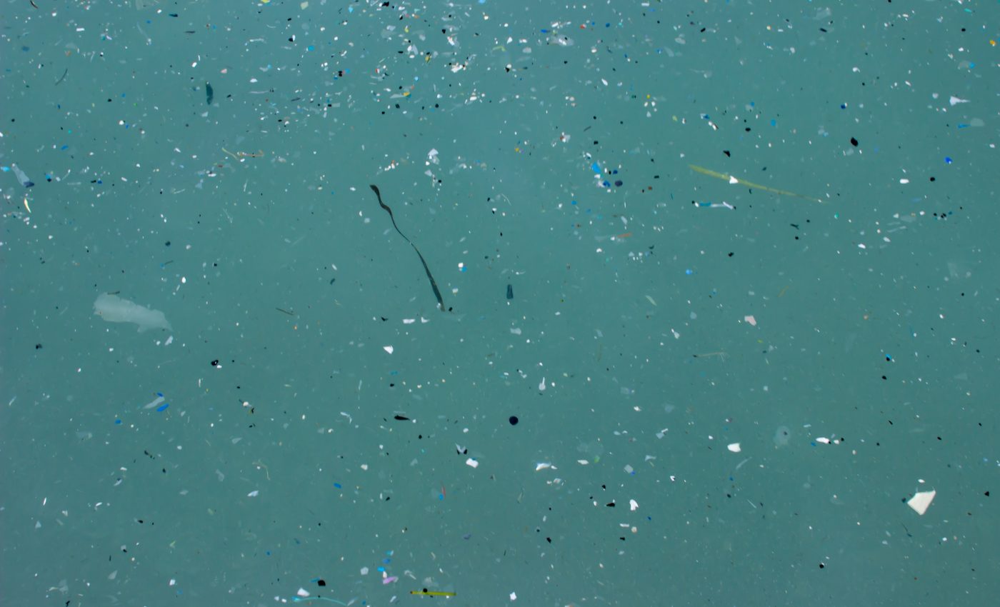 Microplastics are interfering with natural carbon storage in the ocean