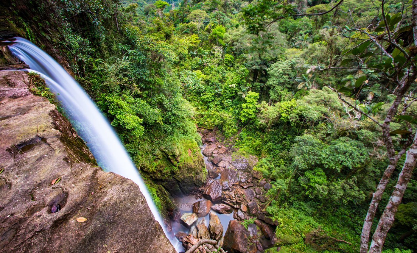 Climate change caused major declines in early South American populations