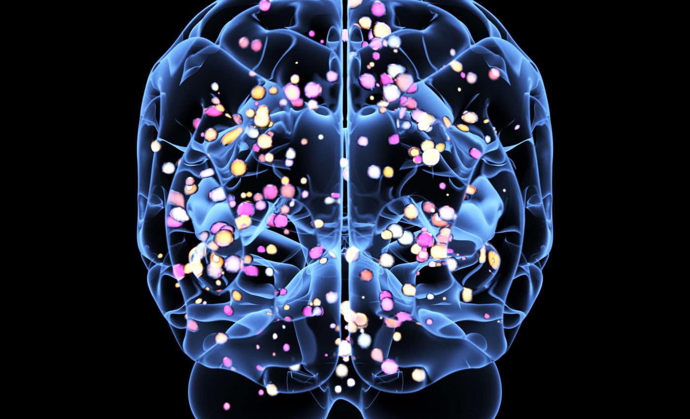 Scientists identify the brain region that processes value decisions