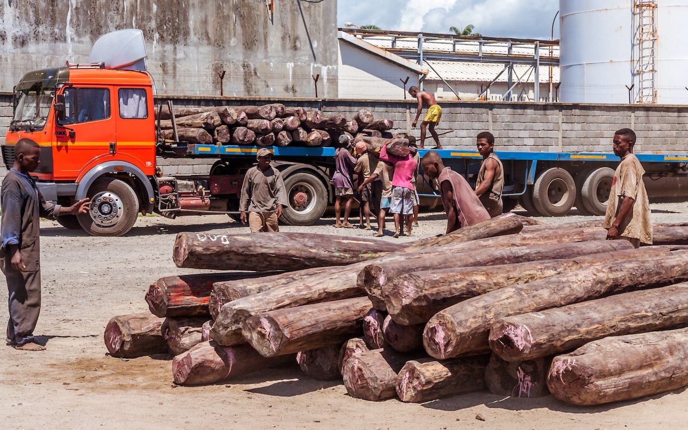 International agreements fail to protect Madagascar’s rosewood trees