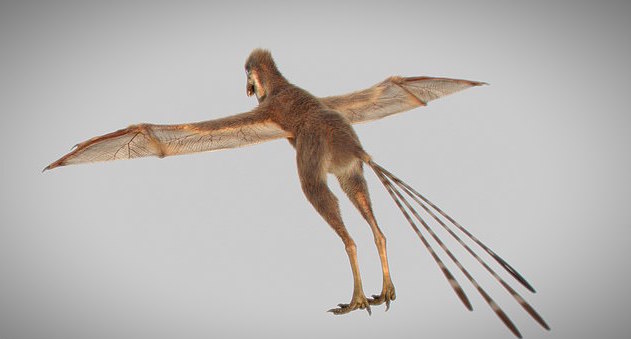 Newly discovered species of dinosaur had bat-like wings