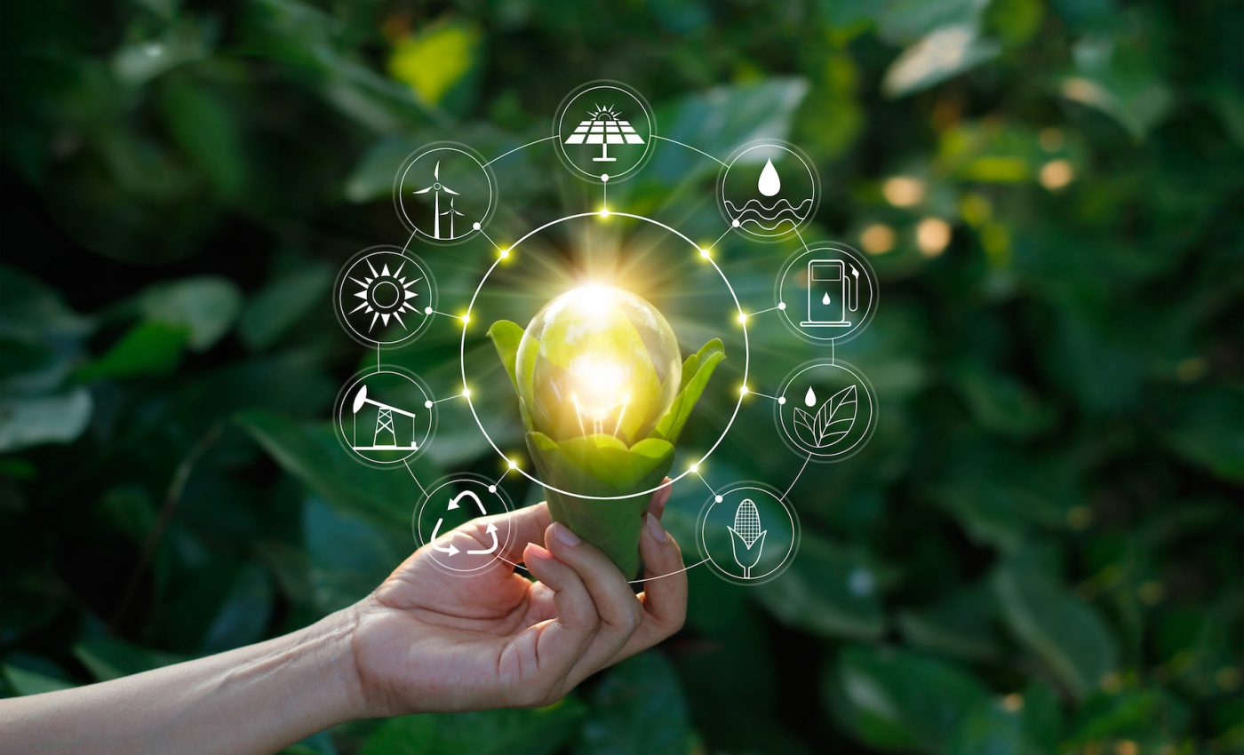 ‘Costless’ nudges toward green energy can impede larger policy changes