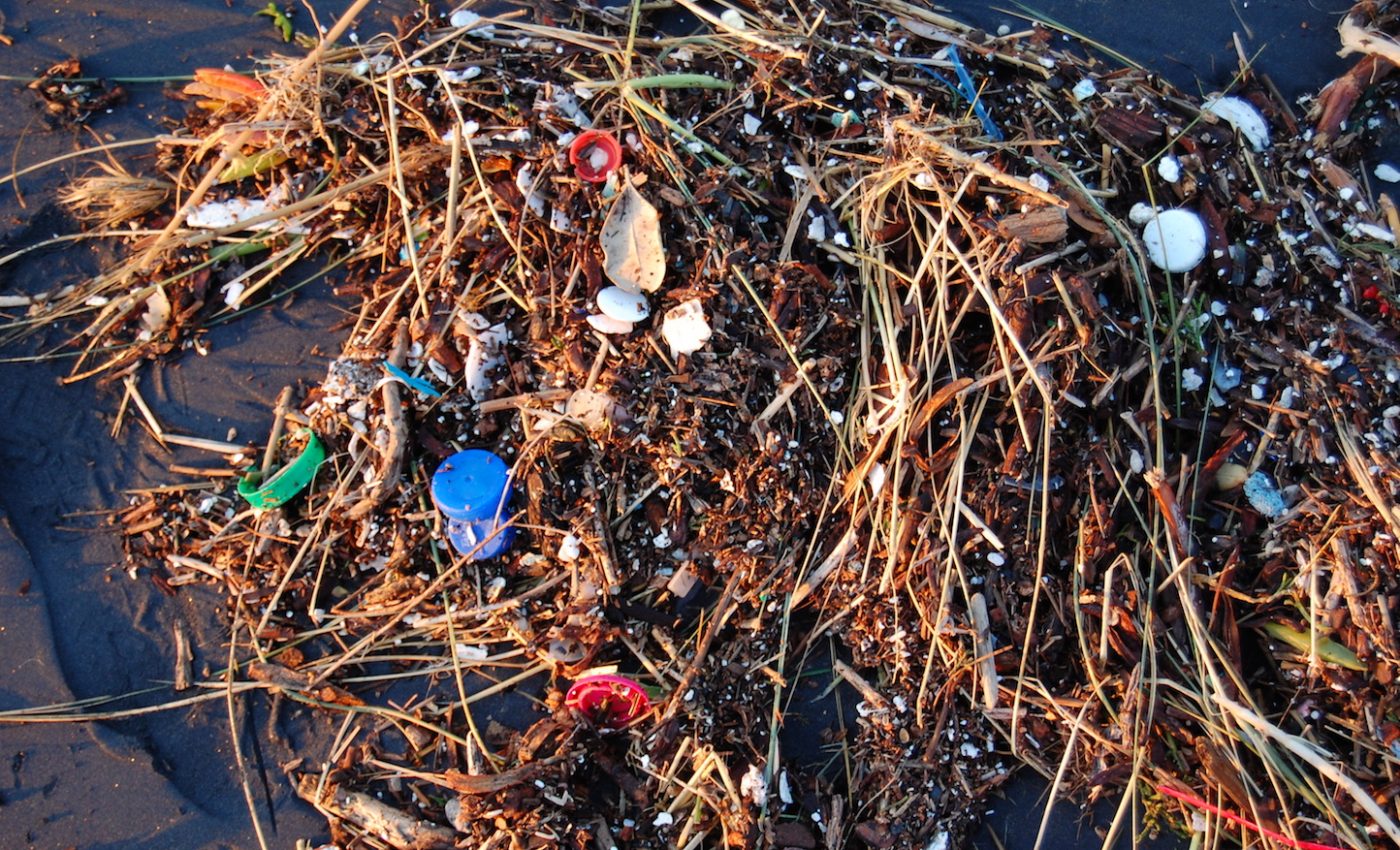 Bacteria that are crucial to oxygen production are harmed by plastic litter