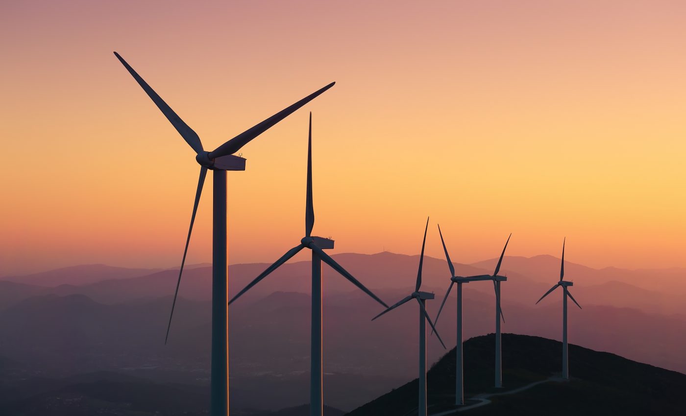 Whistle alerts help bats stay away from deadly wind turbines