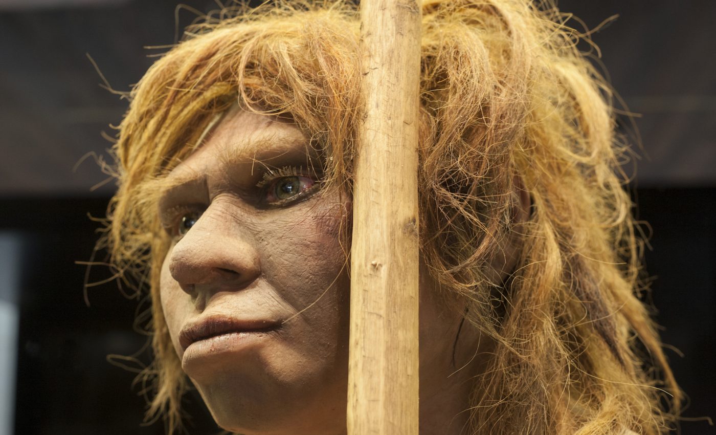 Neanderthals and modern humans parted ways 800,000 years ago