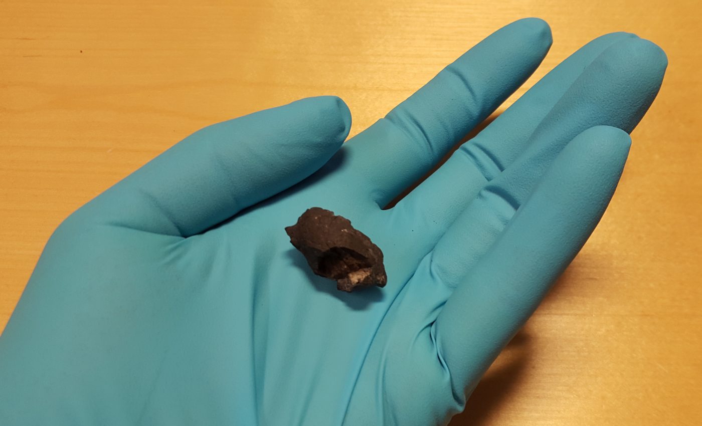 Ancient chewing gum offers new clues about the first humans in Scandinavia