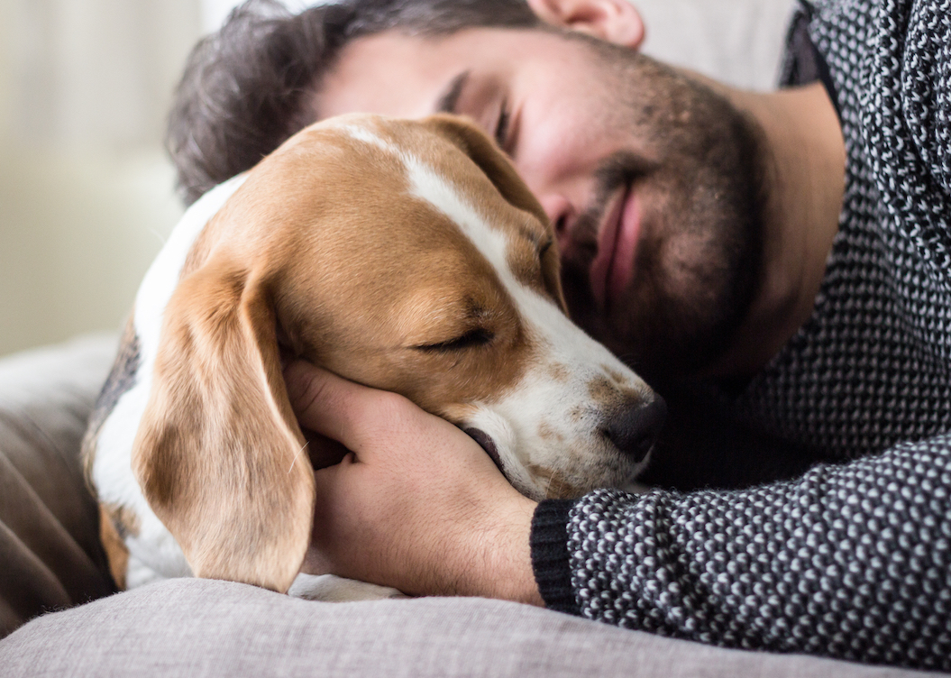 The choice to have a dog is influenced by our genes