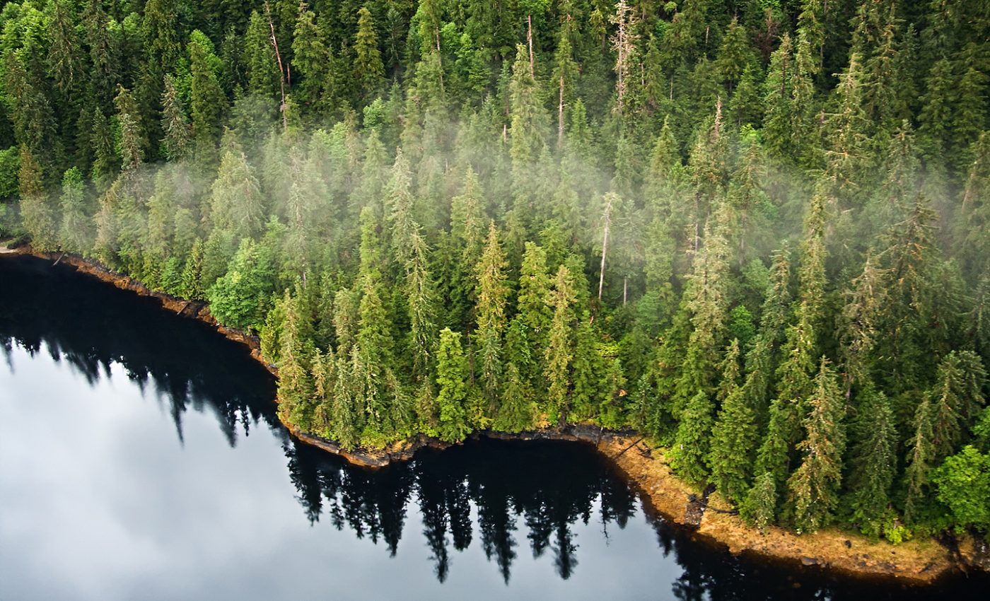 Plans to cut parts of the largest US national forest met with opposition