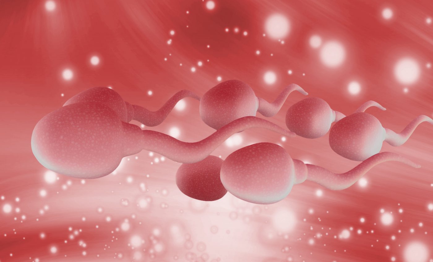 Sperm quality found to be surprisingly low among young Swiss men