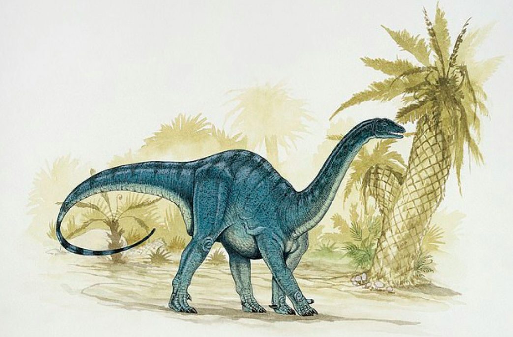Early dinosaur species crawled before they walked on two legs