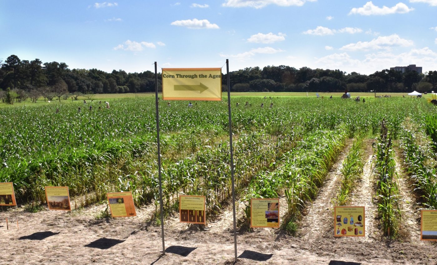 Why plant blindness poses an increasing threat amidst a changing climate