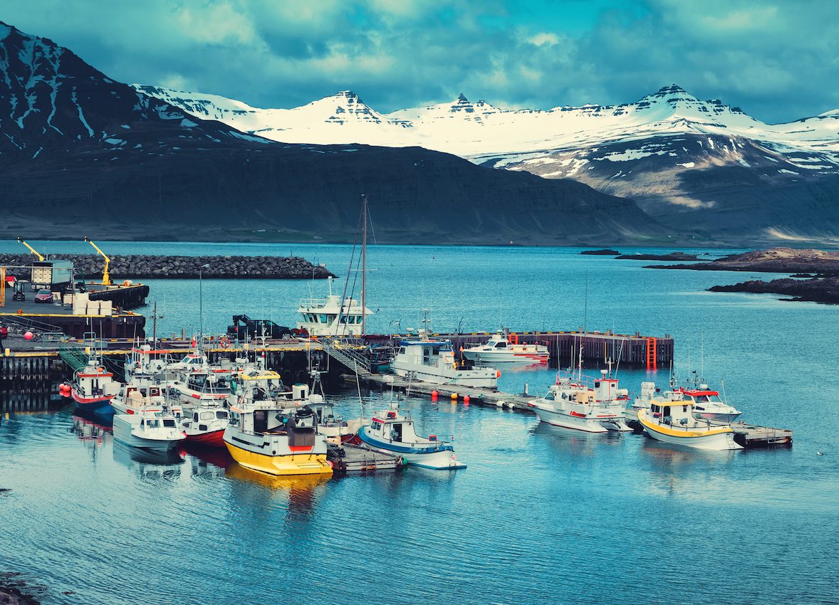 Fishing vessels have doubled since 1950, but catch has dropped by 80 percent