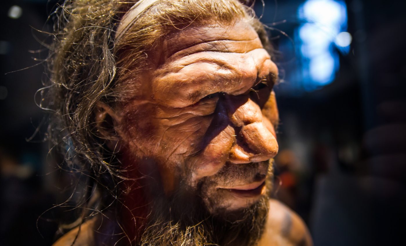 Neanderthals may have gone extinct due to declining fertility rates
