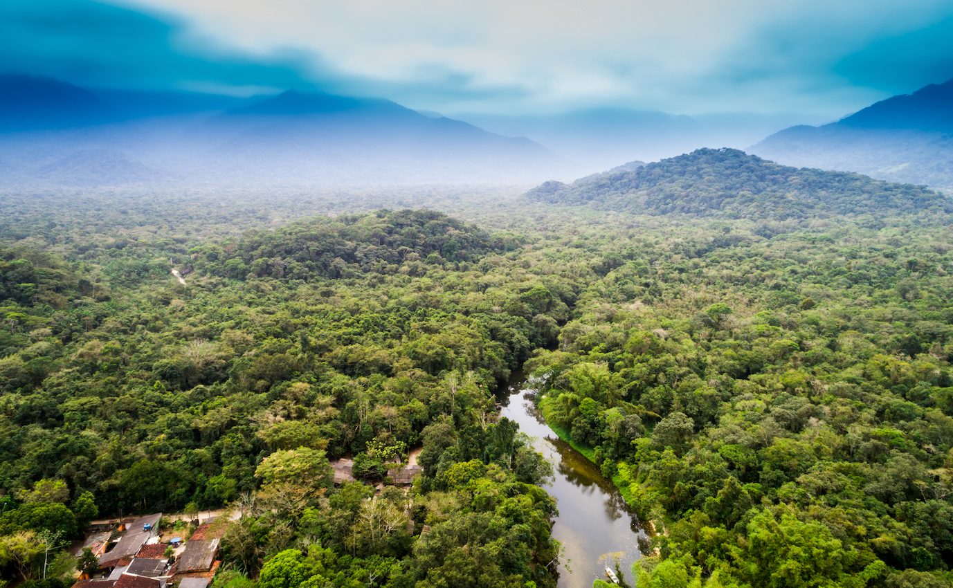 The myth of an 'unpeopled' jungle