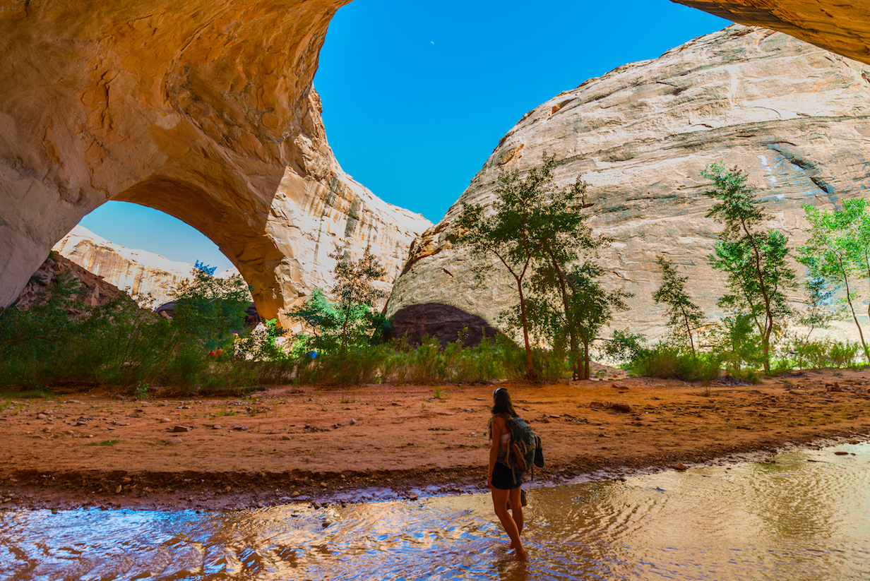 Protected areas are at serious risk in the US and Brazil