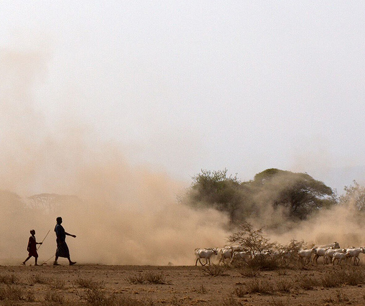 DNA sheds light on the story of first farmers and herders in East Africa