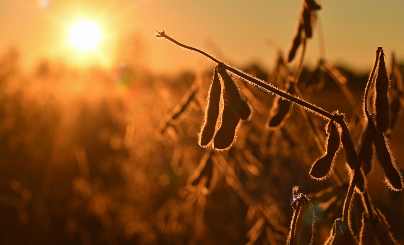 US crop yields will be more impacted by heat stress than drought