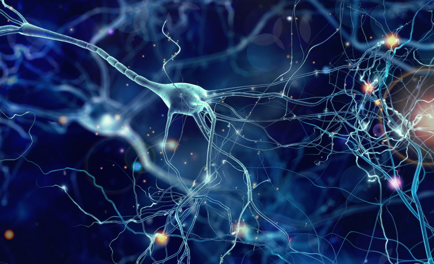 Exercise can help eliminate the excess brain connections of autism