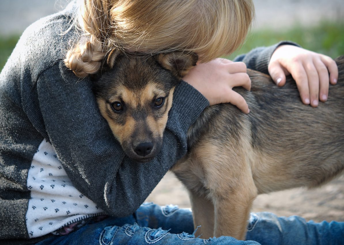 Your dog can feel your stress, new study shows