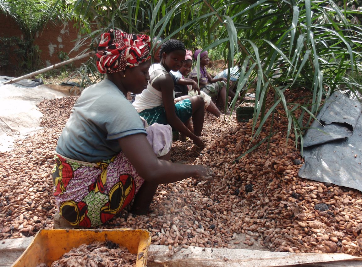 Consumers could reduce cocoa farm child labor if they’re willing to pay more