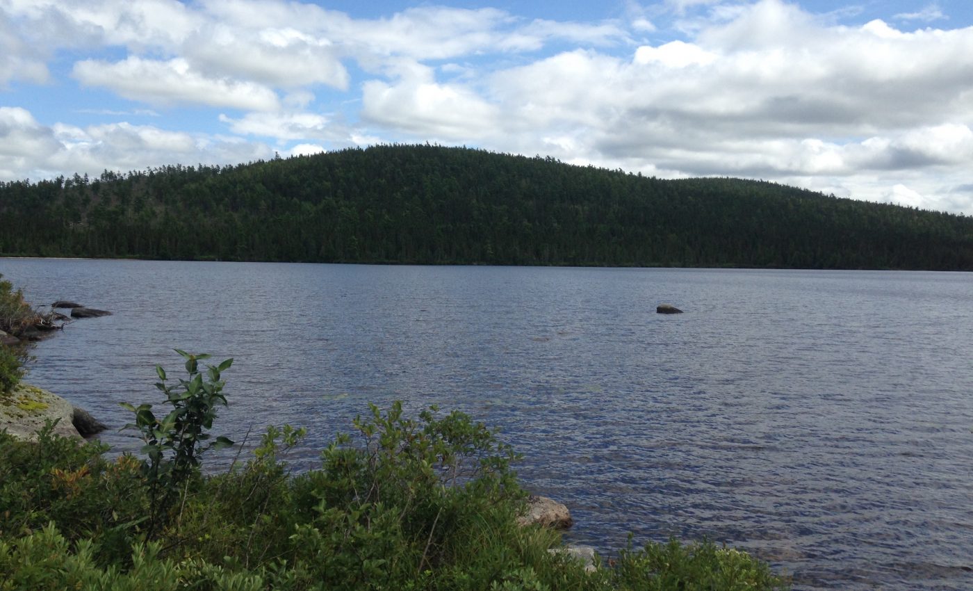 Harmful levels of DDT have persisted in North American lakes for decades