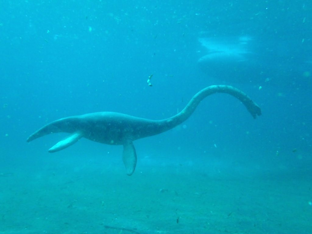 ‘Real-life Loch Ness Monster’ fossil discovered in Antarctica
