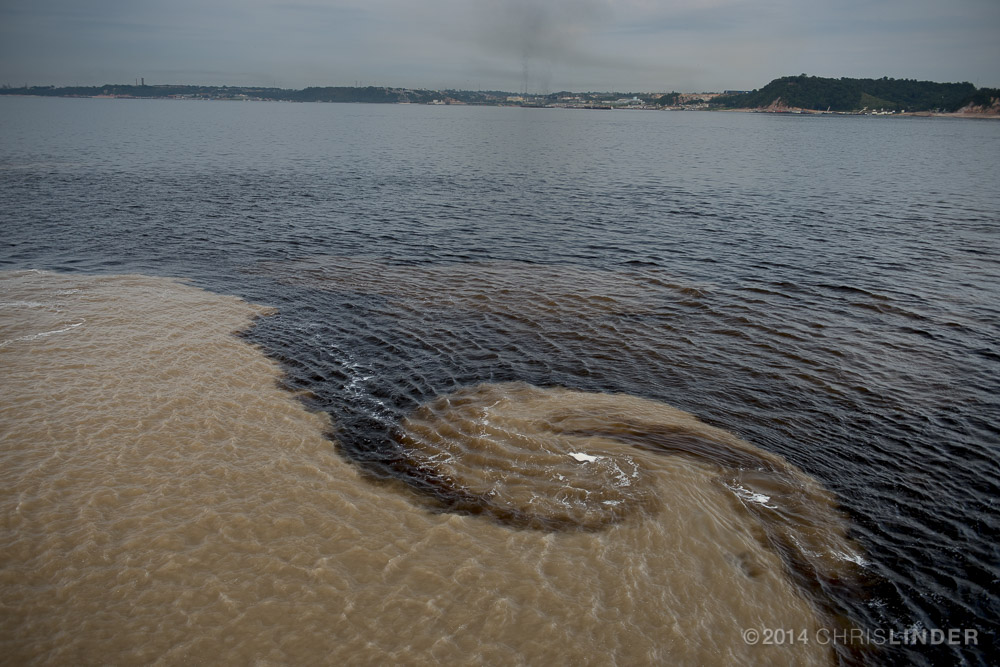 How is some organic carbon spared from decomposition and stored underground?